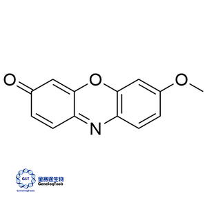 5725-89-3 | Methoxyresorufin;Resorufin Methyl Ether