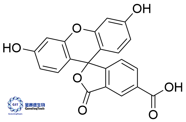 76823-03-5 | 5-Carboxyfluorescein;5-FAM