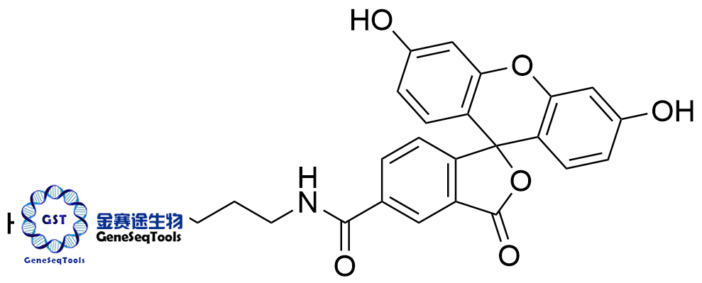 138589-19-2 | FAM amine, 5-isomer