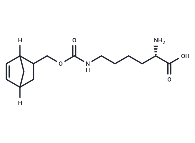 化合物 H-L-Lys(Norbornene-methoxycarbonyl)-OH|T87795|TargetMol