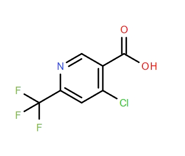 4 - 氯-6 - (三氟甲基)烟酸