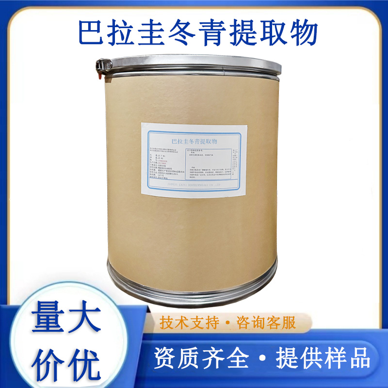 巴拉圭冬青提取物