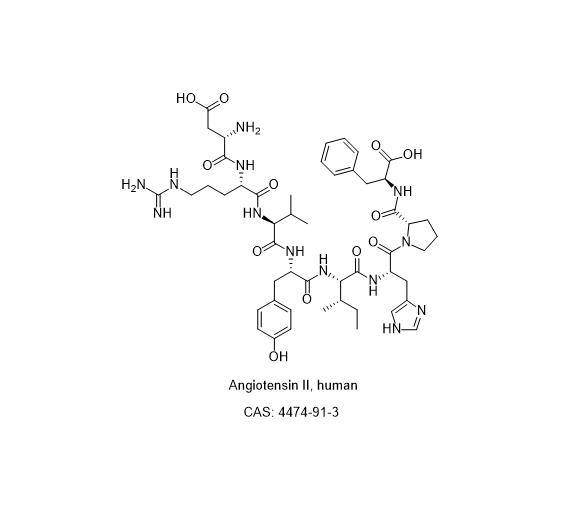 Angiotensin II, human; 血管紧张素Ⅱ