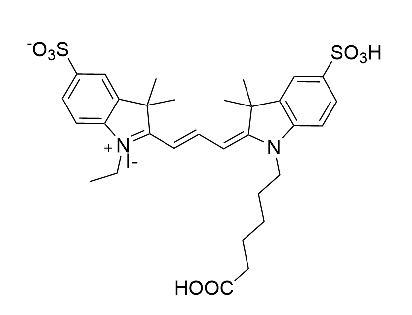 磺酸基CY3