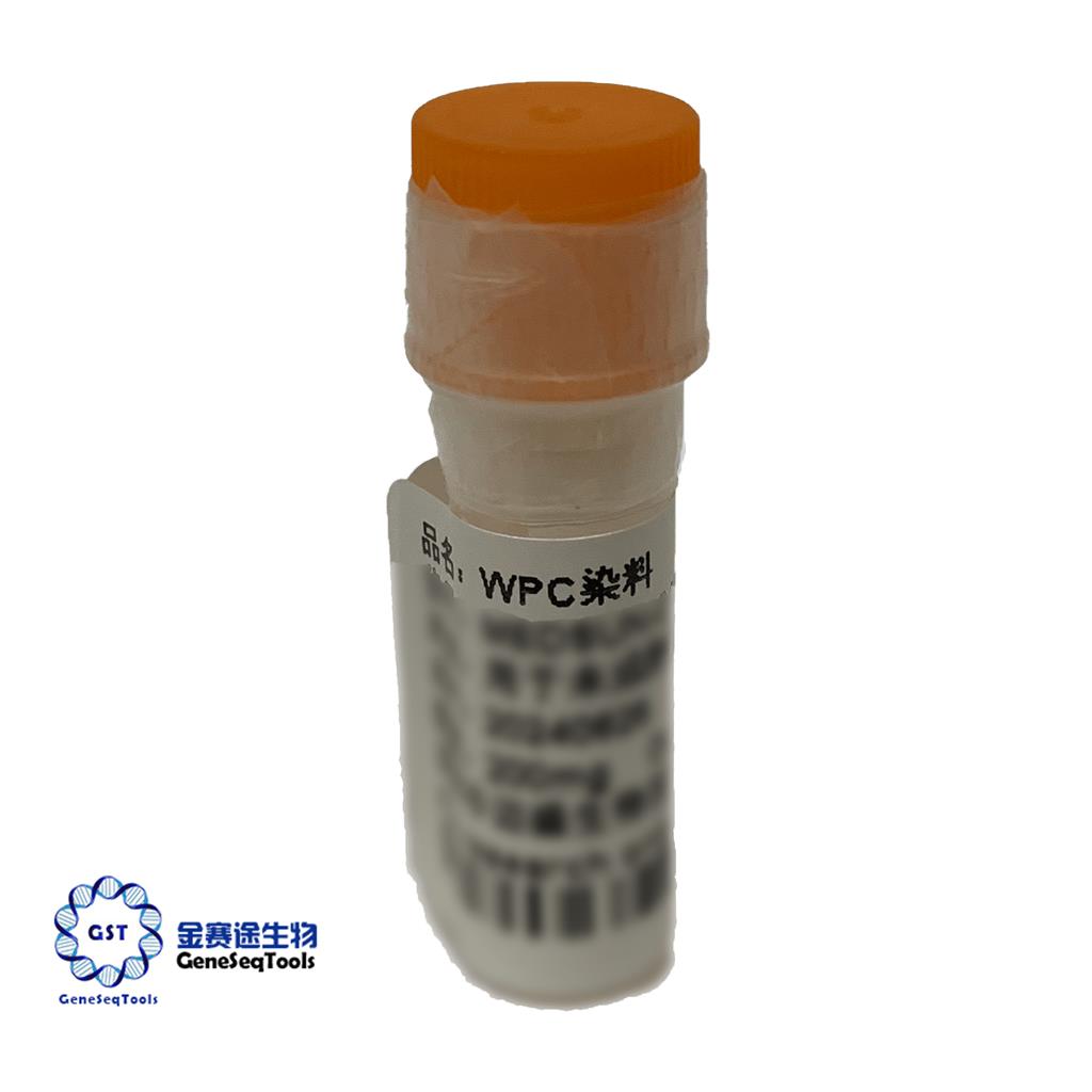 未成熟细胞染料 | WPC DYE