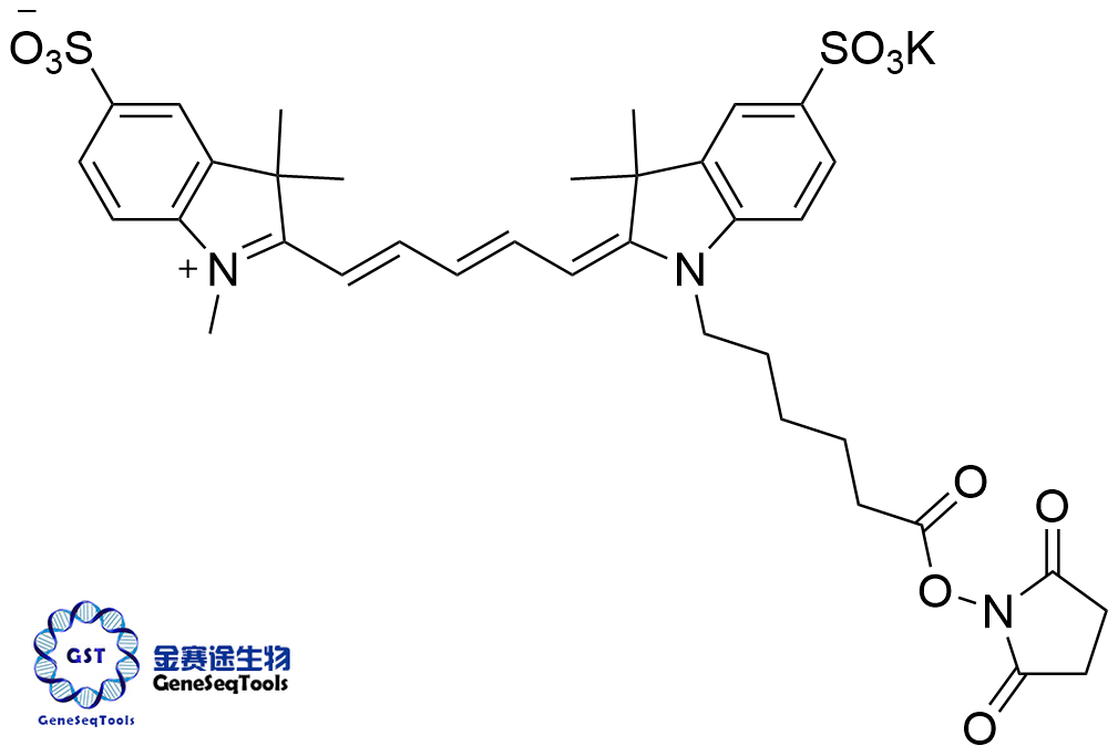 2230212-27-6  | sulfo-Cyanine5 NHS ester;Sulfo-Cy5 NHS Ester