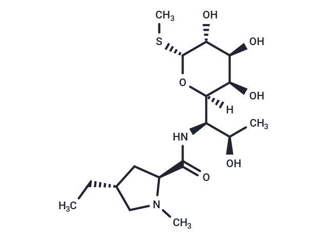 化合物 Lincomycin-B|T25732|TargetMol