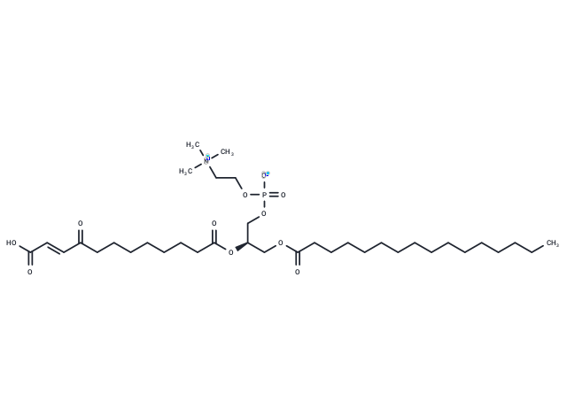 化合物 KDdiA-PC|T36171|TargetMol