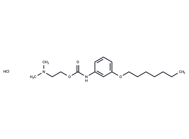 化合物 Carbanilic acid, m-heptyloxy-, 2-(dimethylamino)ethyl ester, hydrochloride|T30725|TargetMol