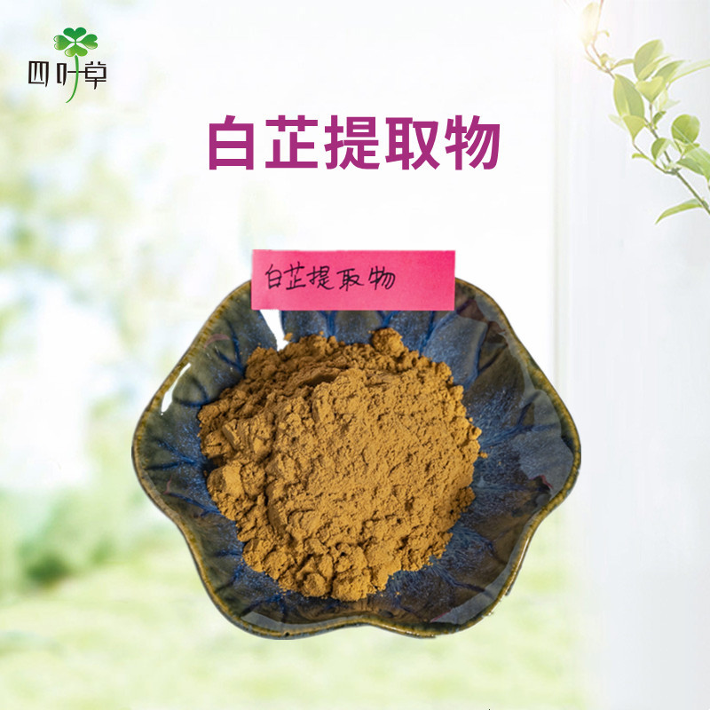 白芷提取物