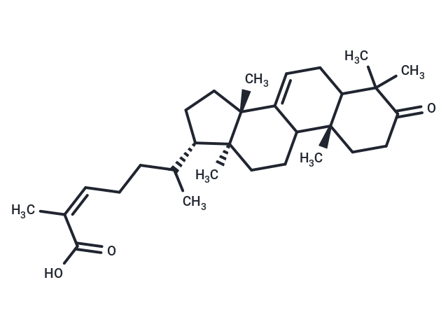 化合物 Masticadienonic acid|T131480|TargetMol