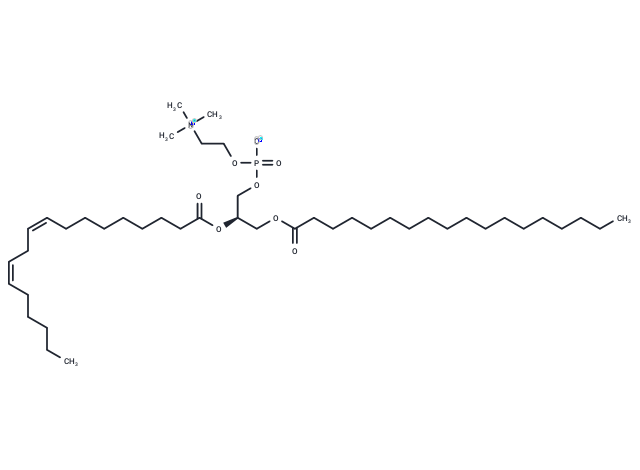 化合物 1-Stearoyl-2-linoleoyl-sn-glycero-3-phosphocholine|T10030|TargetMol
