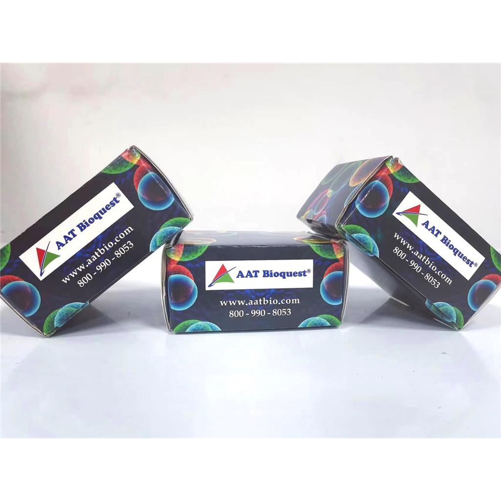 Amplite 比色法马来酰亚胺快速定量试剂盒