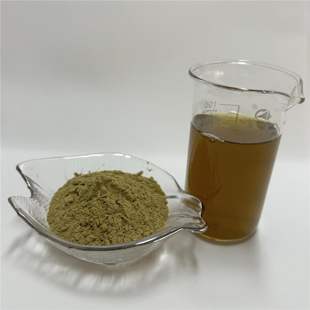 西蓝花粉水溶性西蓝花 花椰菜 西兰花汁粉 蔬菜粉