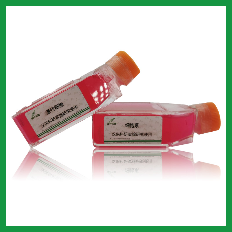 TK10（人肾癌细胞株）