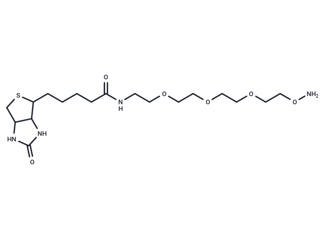 化合物 Biotin-PEG3-oxyamine|T14595|TargetMol