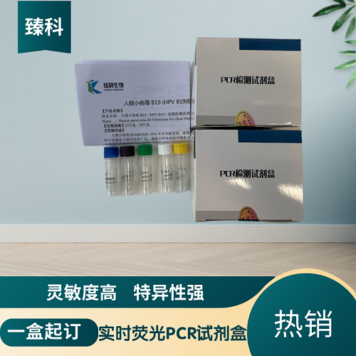 大鼠基质金属蛋白酶9（MMP9）核酸检测试剂盒（荧光-PCR法）