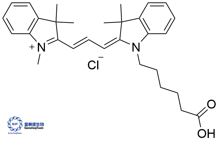 1251915-29-3 (iodide) 菁3羧酸  | Cyanine3 carboxylic acid;Cy3