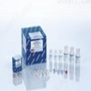 Enzyme research代理