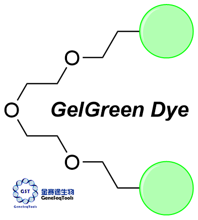 GelGreen染料 | GelGreen Dye