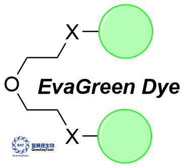EvaGreen染料 | EvaGreen Dye