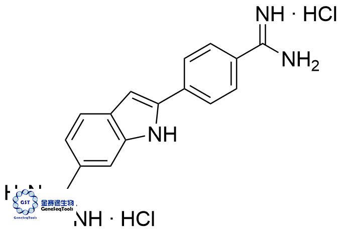 28718-90-3 | 4',6-Diamidino-2-phenylindole Dihydrochloride;DAPI 4',6-二脒基-2-苯基吲哚二盐酸盐
