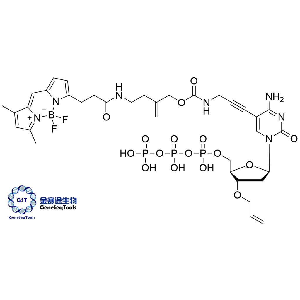 926012-33-1 | 3′-O-Allyl-dCTP-allyl-bodipy-FL-510 3′-O-烯丙基-dCTP-烯丙基-bodipy-FL-510
