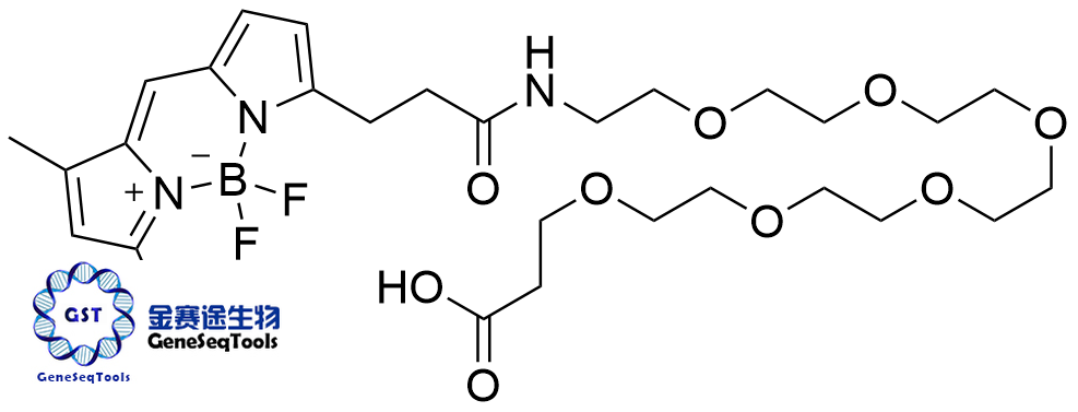 1649950-91-3 | BODIPY FL-PEG6-Carboxylic Acid BODIPY FL-PEG6-羧酸