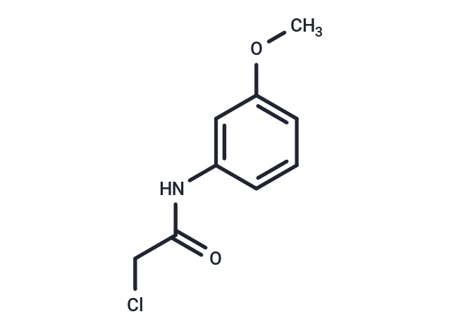 化合物 Acetamide, 2-chloro-N-(3-methoxyphenyl)-|T29557|TargetMol
