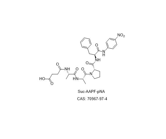 Suc-AAPF-pNA; Suc-Ala-Ala-Pro-Phe-pNA