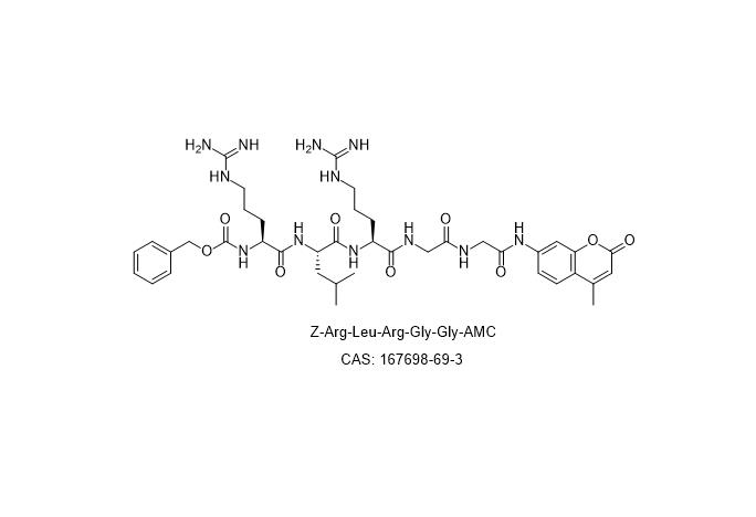 Z-Arg-Leu-Arg-Gly-Gly-AMC  167698-69-3