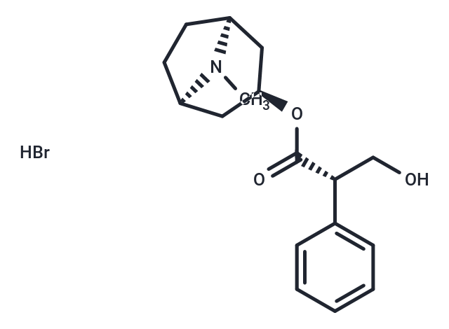 化合物 Hyoscyamine hydrobromide|T20392|TargetMol