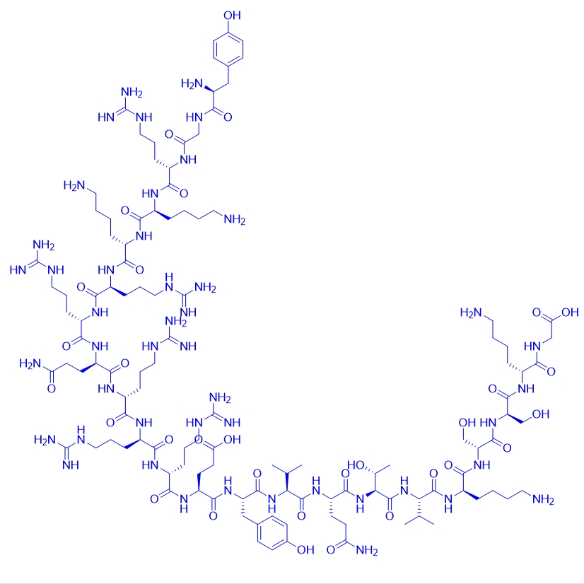 阻断肽A11/2412926-30-6/ANXA1-derived 11 amino acid–long peptide