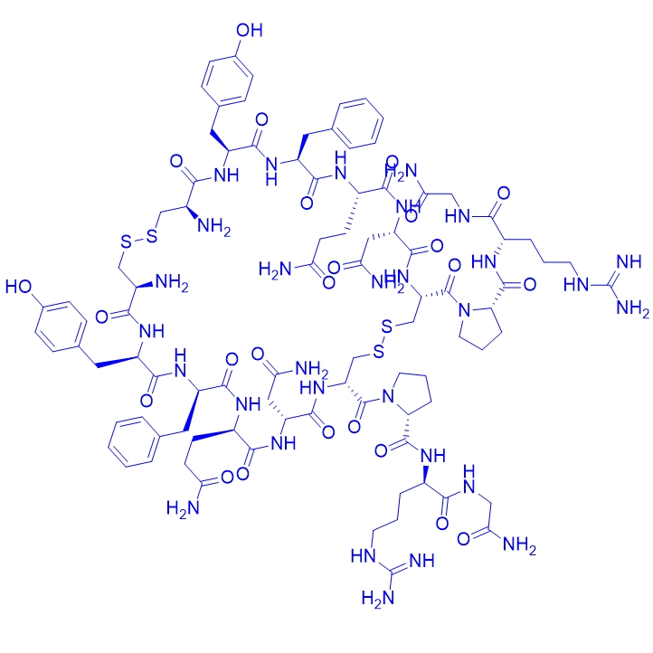 平行二聚体加压素/Vasopressin (Dimer, Parallel)