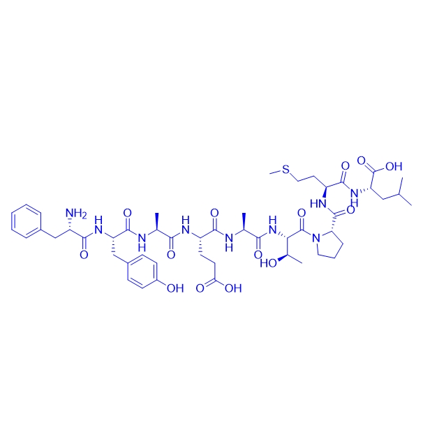 线粒体定位蛋白FAM49B (190-198) mouse/1588388-60-6/FAM49B (190-198) mouse