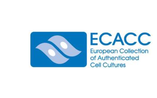 ?ECACC细胞系国内代理
