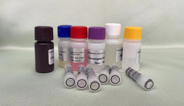 猪圆环病毒染料法荧光定量PCR试剂盒