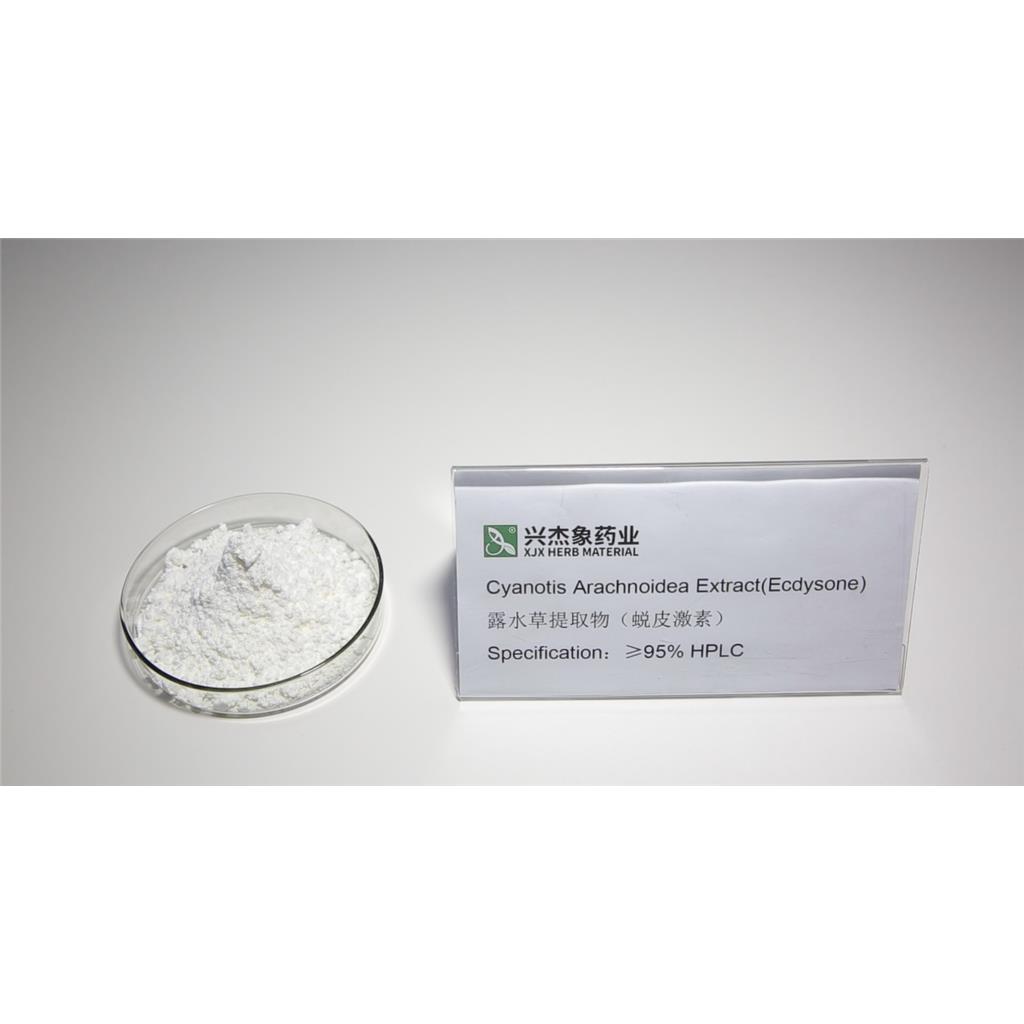 蜕皮激素：驱动昆虫生长蜕变的关键调控因子