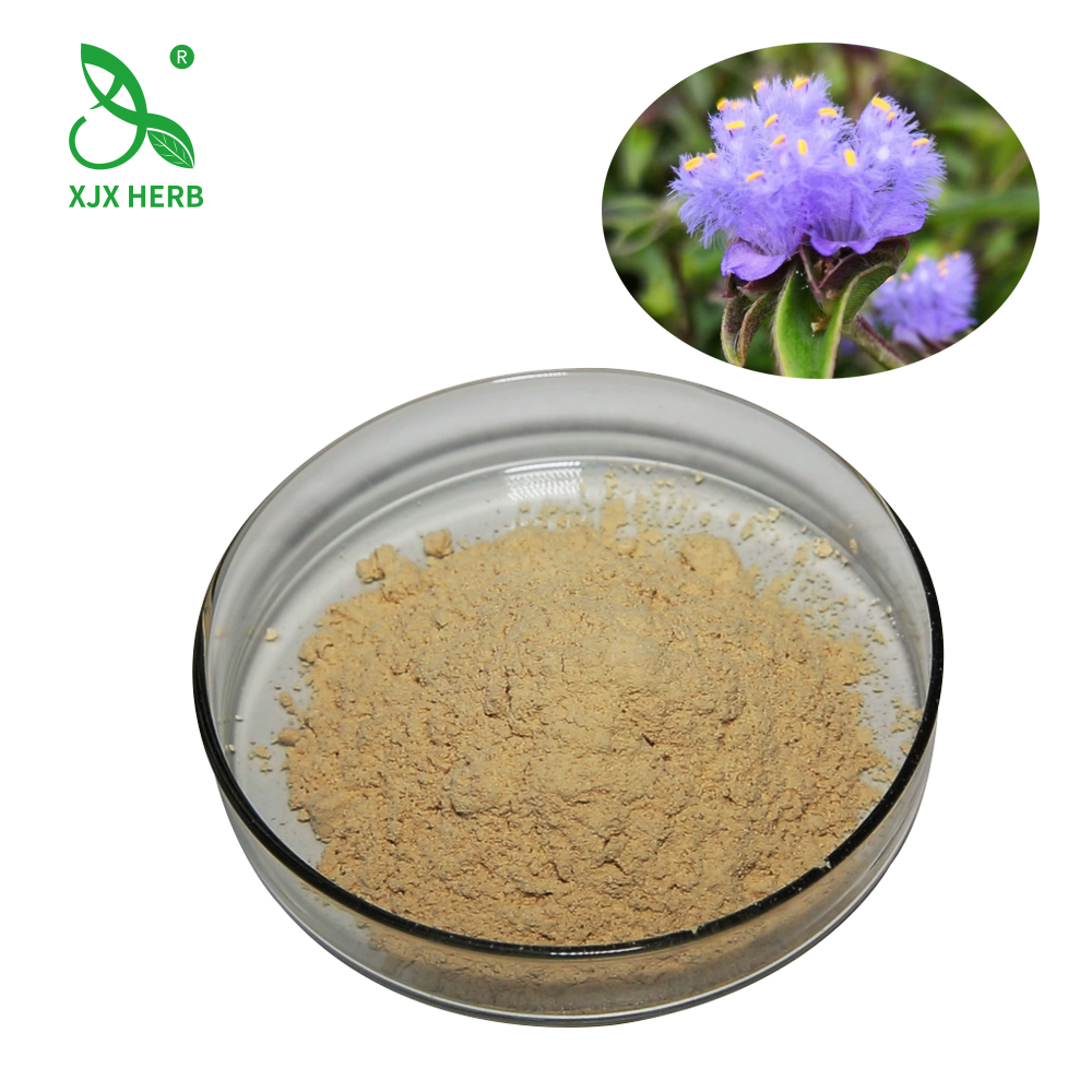 蜕皮激素：驱动昆虫生长蜕变的关键调控因子