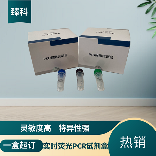 禽流感病毒H5N6亚型PCR检测试剂盒