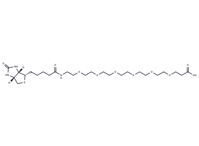 化合物 Biotin-PEG6-acid|T14606|TargetMol
