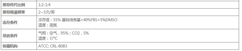 image 2020121109060450042