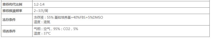 image 2020121109191428060