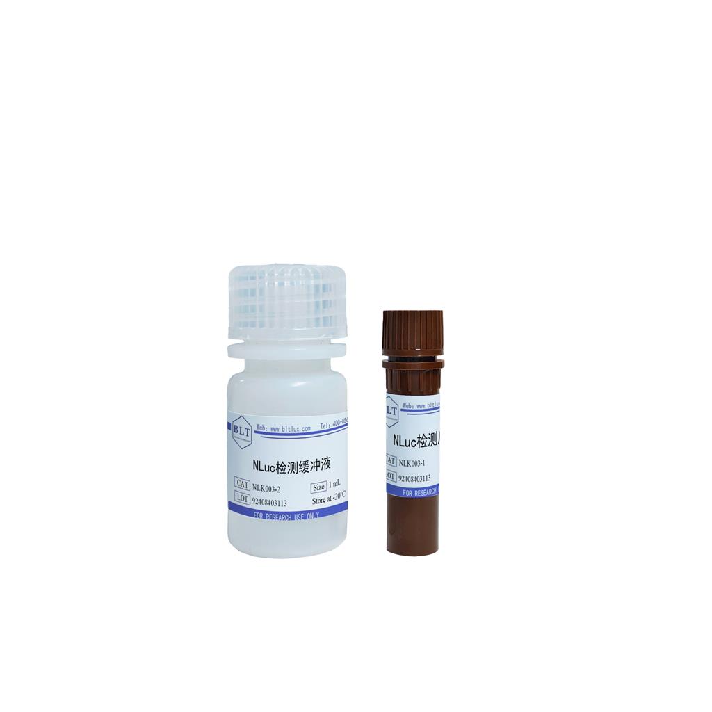 NLuc荧光素酶检测试剂