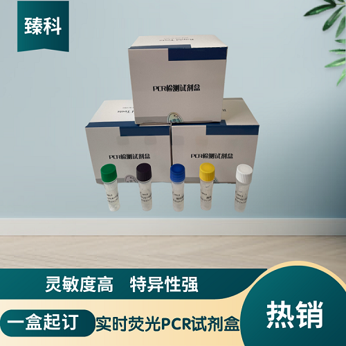 口蹄疫病毒A型/O型（FMDV-A/-O）核酸检测试剂盒