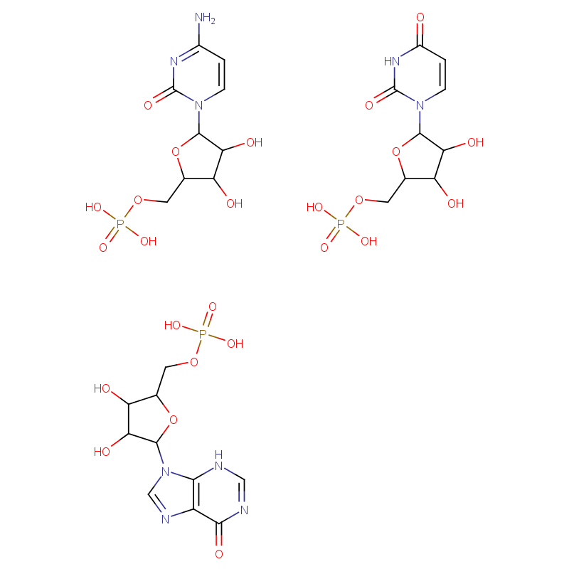 卡那霉素-聚肌尿胞钠盐复合物溶液