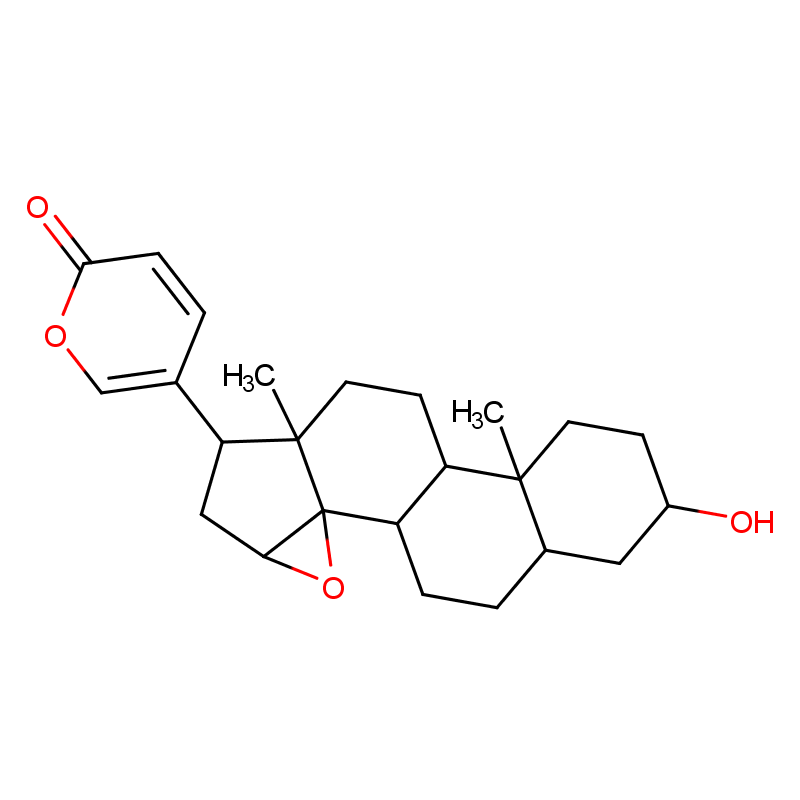 蟾力苏 酯蟾毒配基