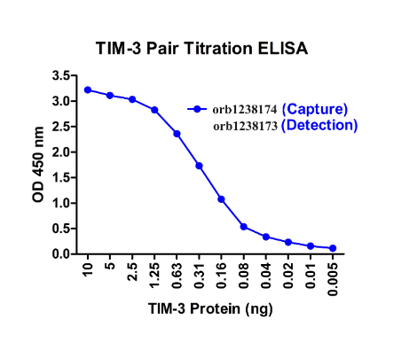 biorbyt国内一级代理