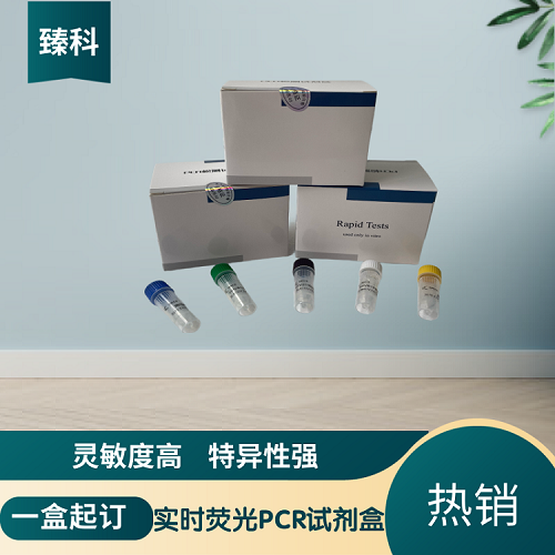  猪蓝耳病毒经典型/高致病性猪蓝耳病毒（PRRSV-C/PRRSV-M）核酸检测试剂盒