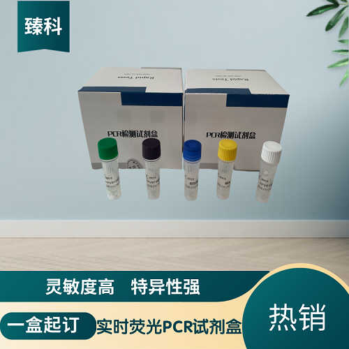 口蹄疫病毒O型/A型（FMDV-O/-A）核酸检测试剂盒